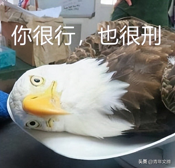 开心一刻｜有人接单吗？接一下我的孤单