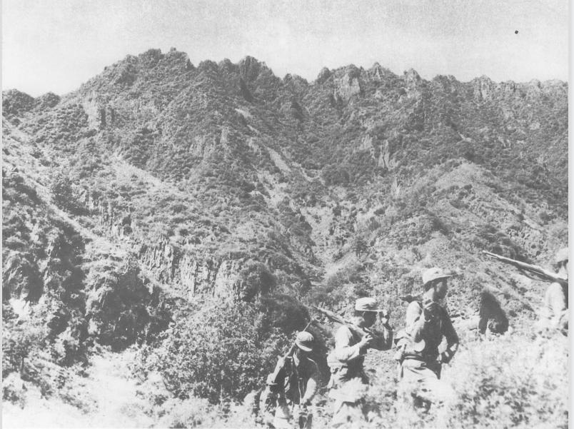 中原突围以后有什么失利,中原突围最后去哪了