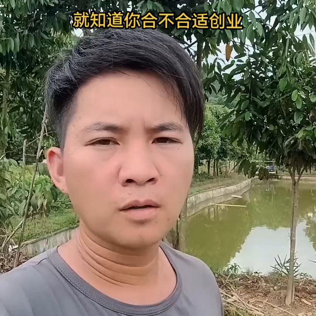 认为自己有能力回乡创业的,评论区聊聊#甲鱼