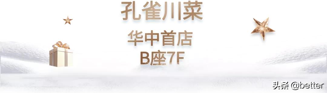 武汉武商广场圣诞,武商mall圣诞