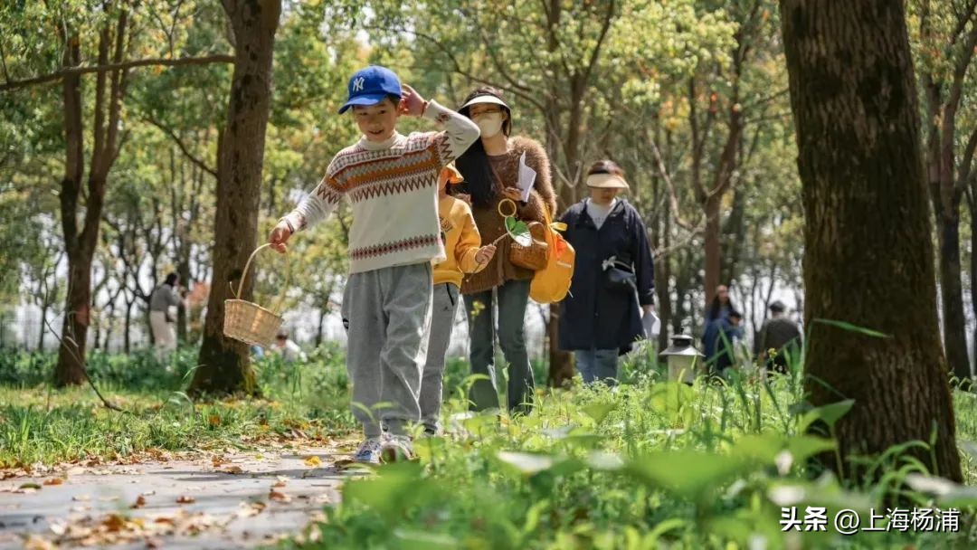 最值得去的露营地,值得去的露营地