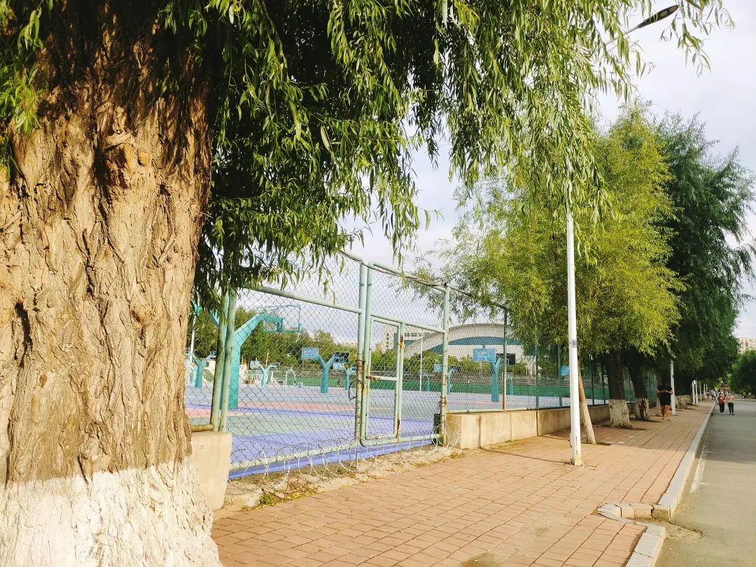 「新生指南丨史上最全宿舍介绍」吉林大学新生快来认领你的宿舍