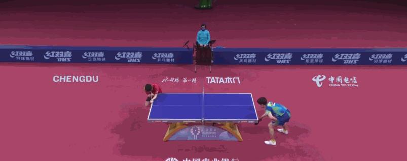 张本智和赢了樊振东和王楚钦,张本智和连赢王楚钦和樊振东