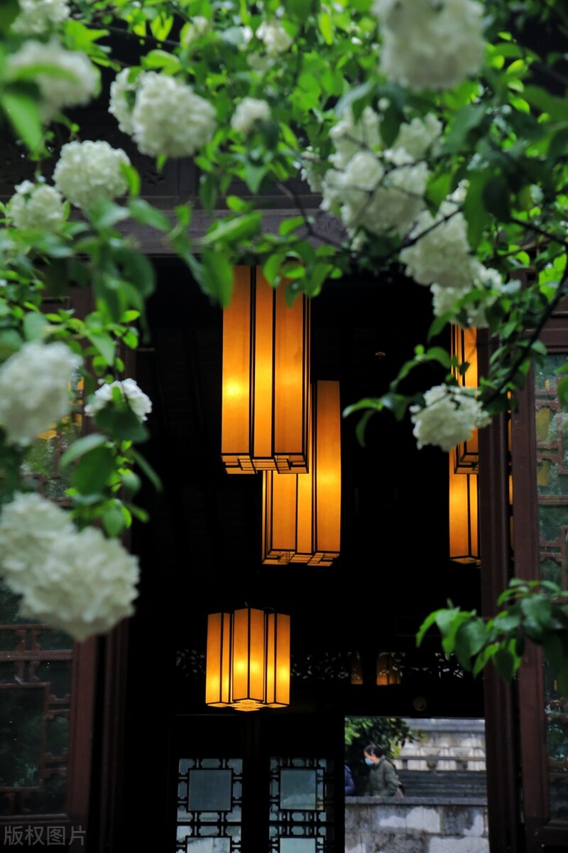 中国唯一“三省省会”，省内万人嫌，省外的台湾却对它情有独钟