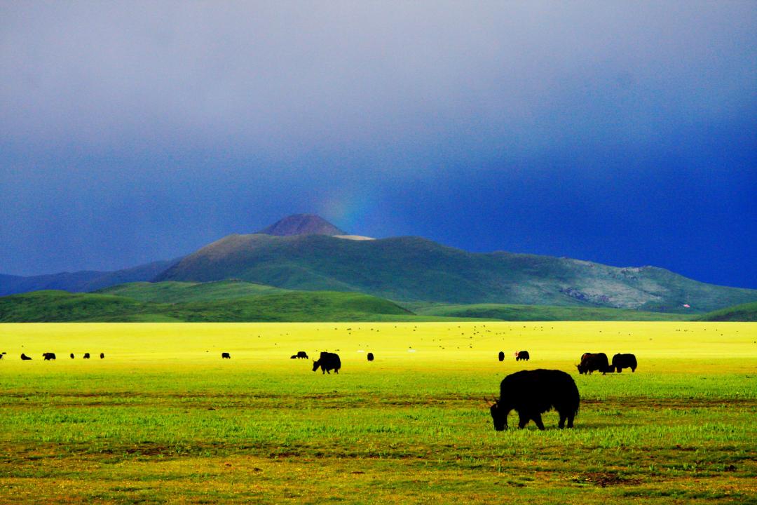 中国旅游日凉山,中国旅游日四川景区