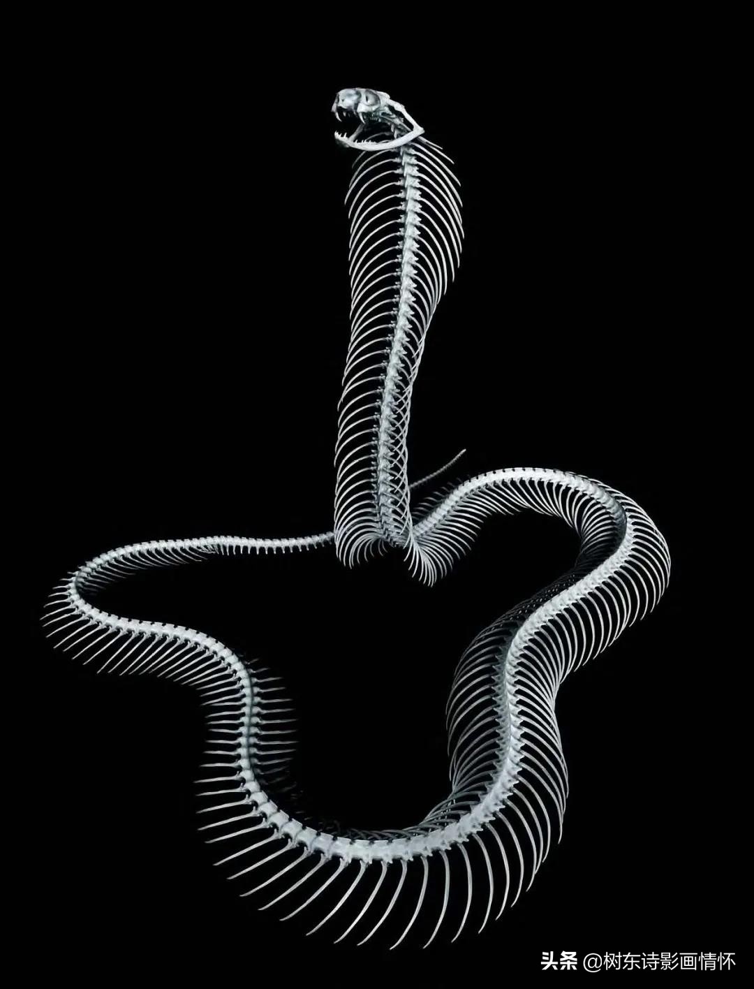 摄影美到极致令人一见倾心,旧景摄影别样美