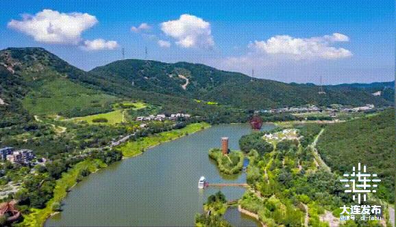 大连高质量发展两个先导区,大连新闻发布会今天