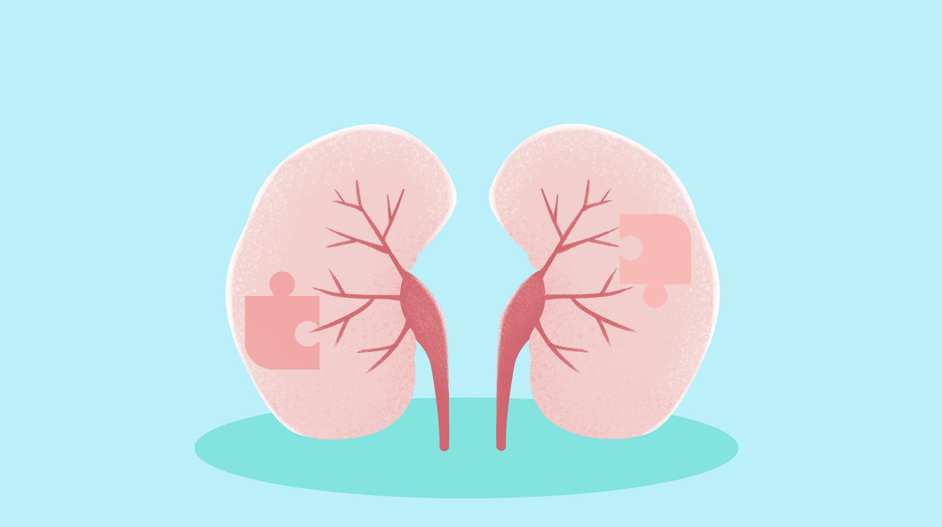 固肾益髓的中药,补肾阳又固肾的中药材
