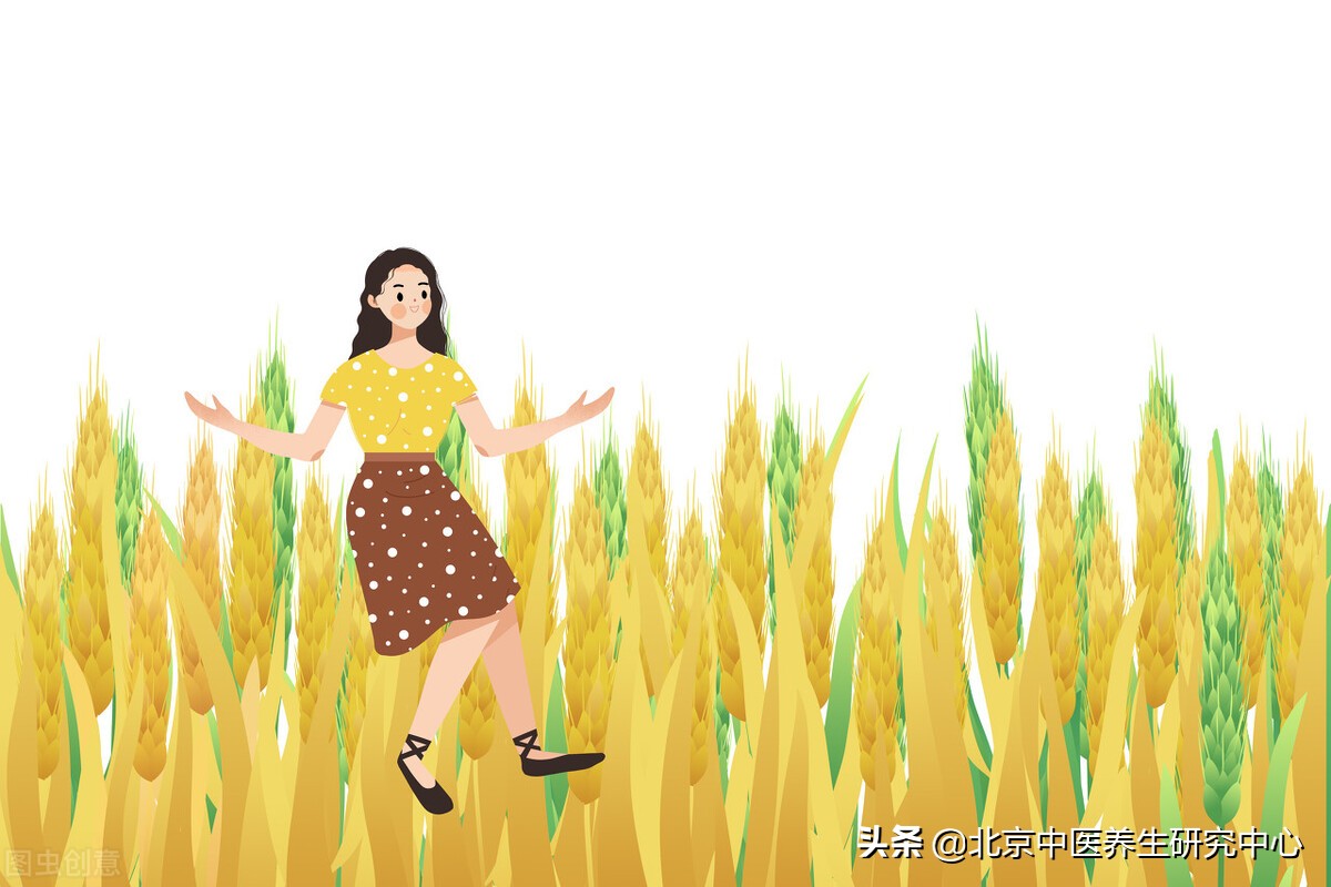 肠道养护,肠道护理的方法