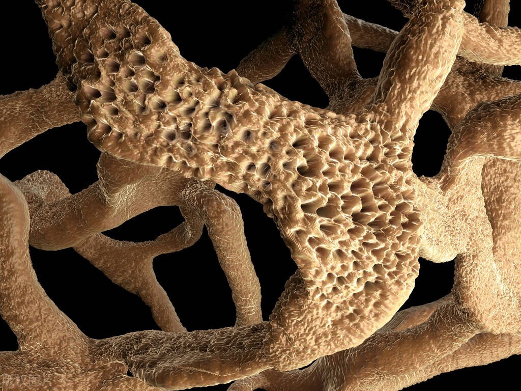 喝咖啡心脏跳的好处,喝咖啡使心脏狂跳