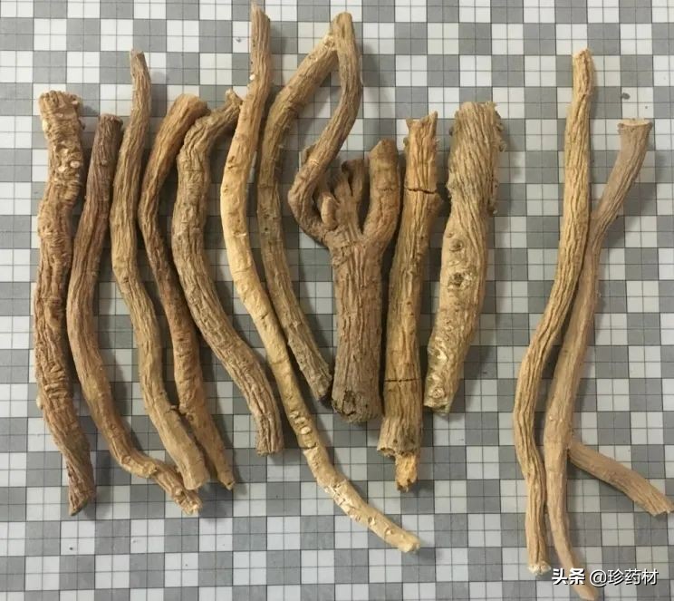 12月27日中药材市场快讯：连翘、柴胡、山楂、僵蚕、板蓝根、菊花