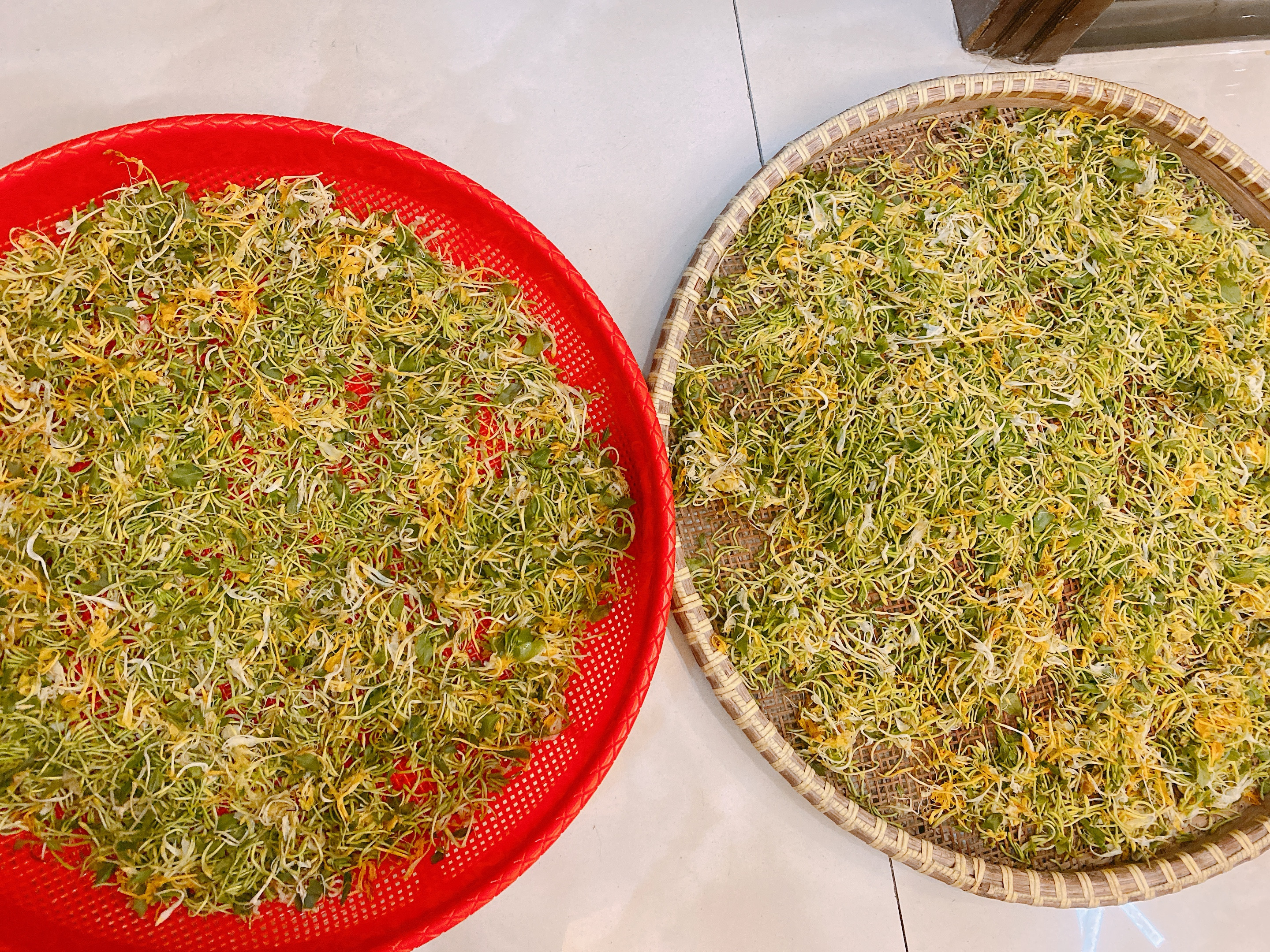 自制金银花茶,金银花茶最好的制作方法