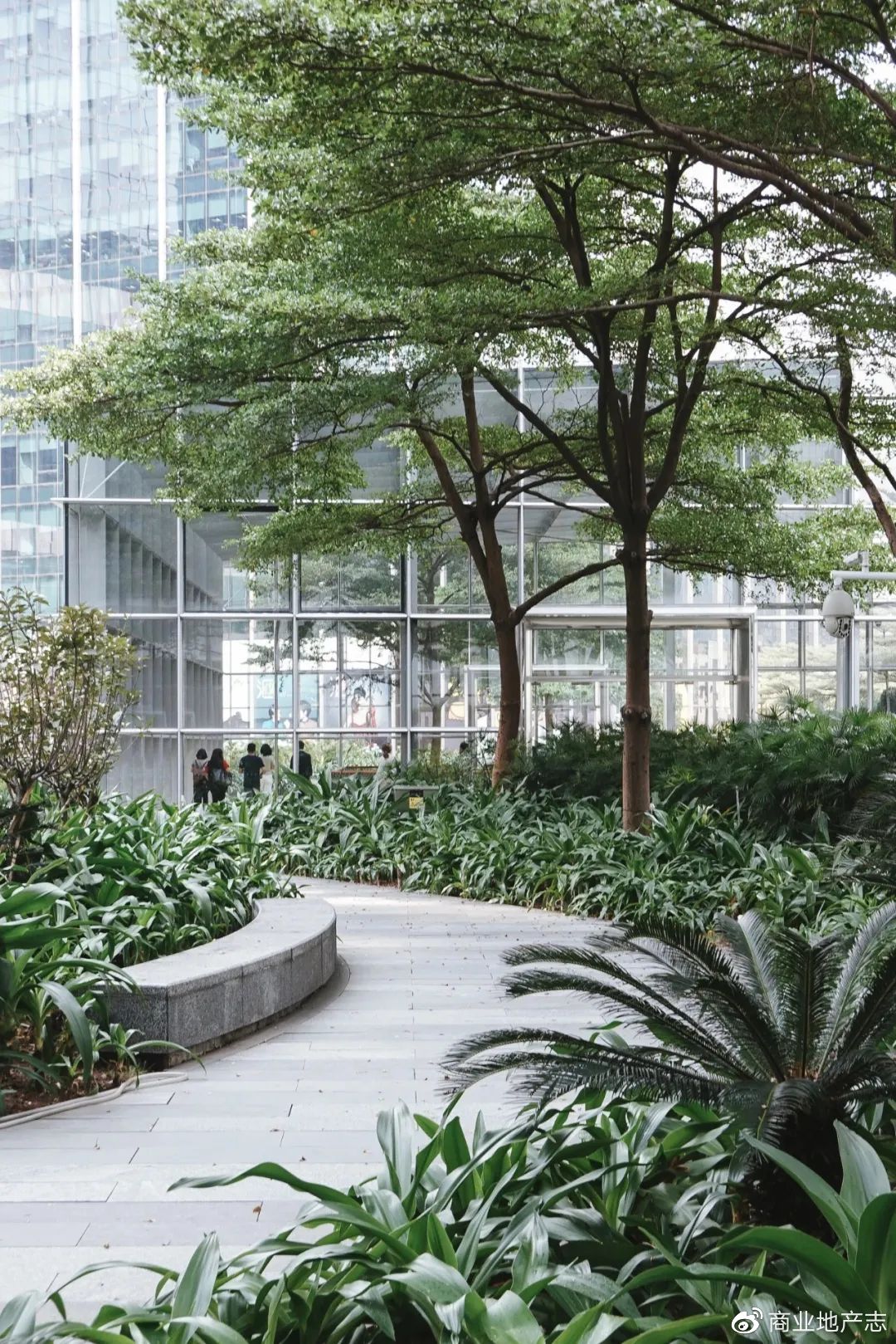 2023中国商业社区营造发展论坛今日举行