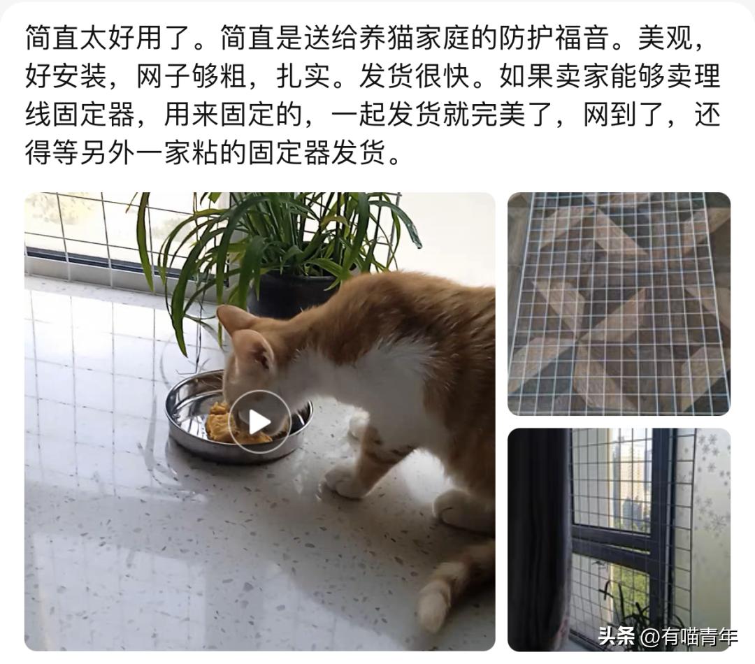 养猫省钱妙招排毛球,养猫不掉毛妙招有哪些方法