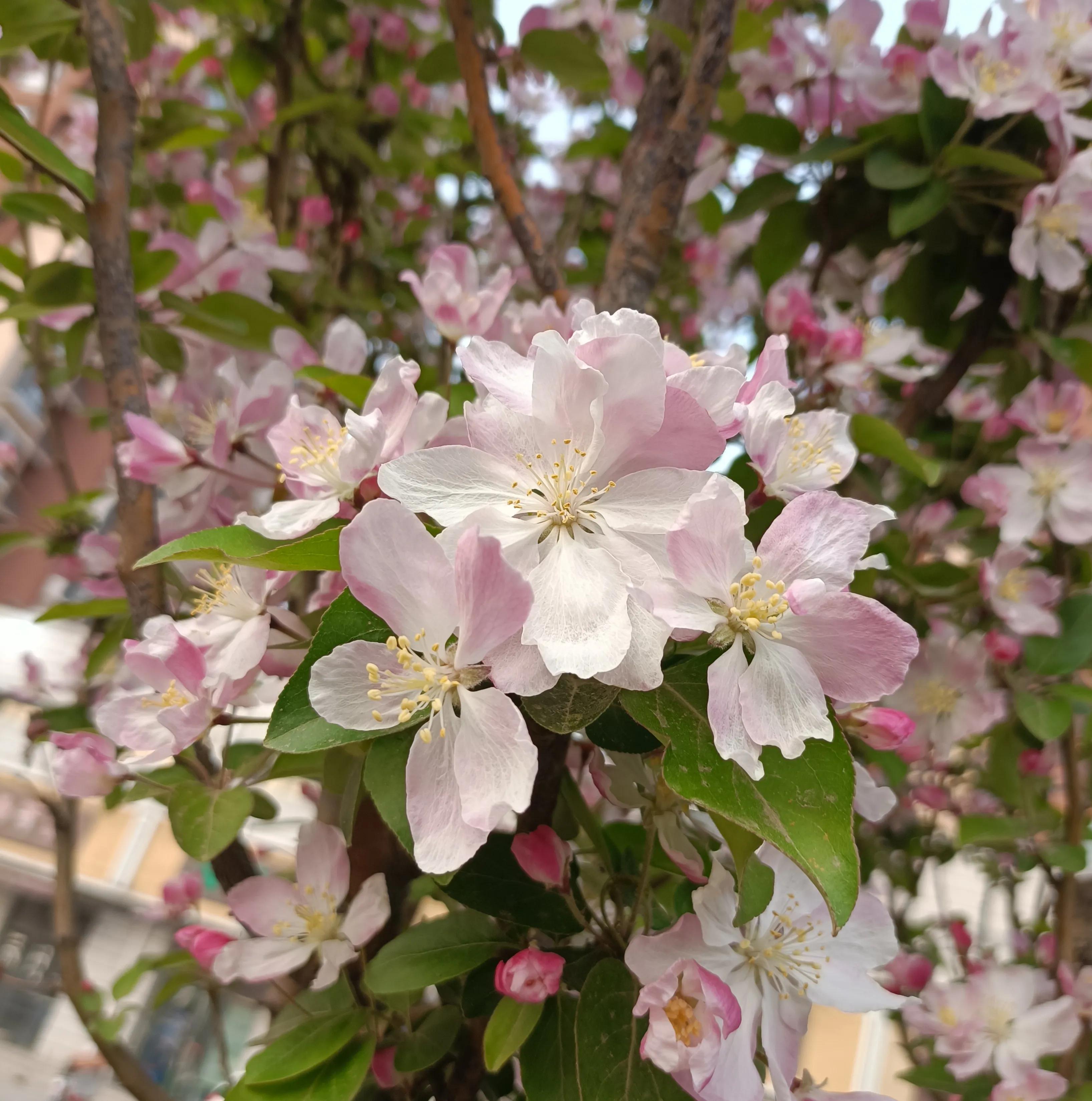 机械本科毕业就业,机械毕业怎么月薪2万