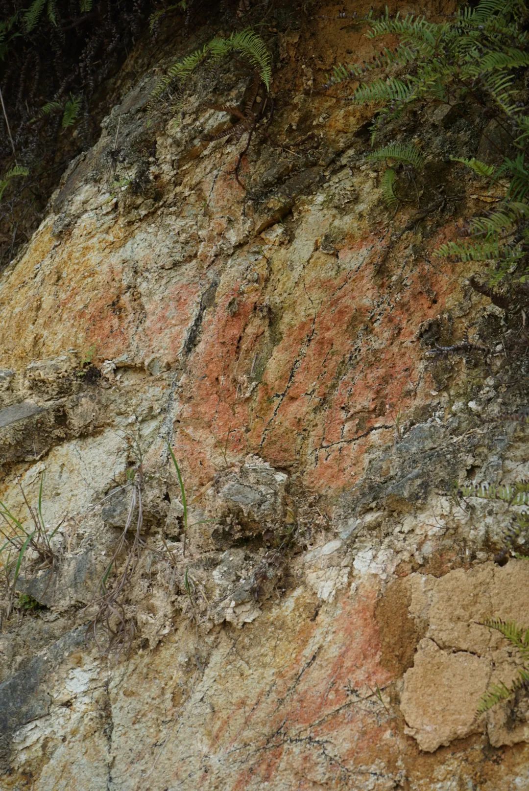 今晚有茶|来自“白水岩”的三泡茶，山水之间的柔和刚