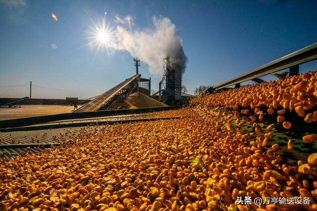 粮食烘干塔安全都检查什么,粮食烘干塔执行什么标准