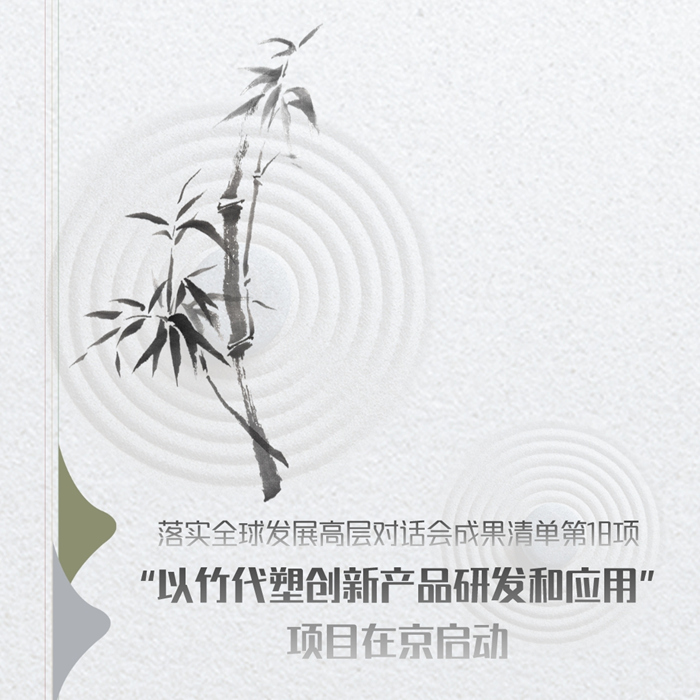 吉林以竹代塑医疗器械包装,以竹代塑机器