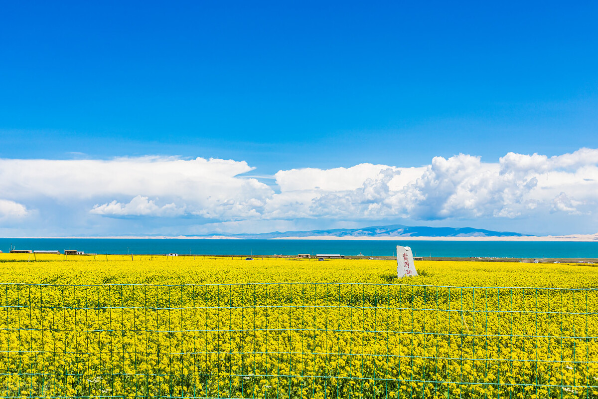 自驾哪里最好玩中国十大自驾游,自驾游5大经典路线自驾游攻略
