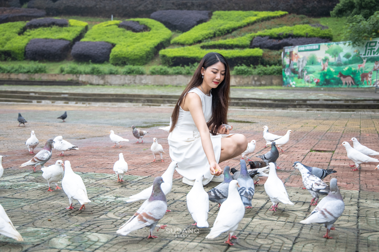 武汉哪个动物园比较适合小朋友玩,武汉值得带孩子去的动物园