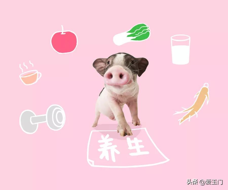 养生要学习,养生要向动物学习