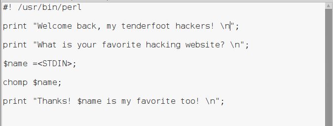 黑客最喜欢的编辑器,黑客最爱的编程语言
