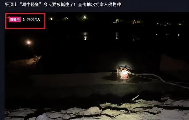 为什么鳄雀鳝能存活1亿年,捕捉一只鳄雀鳝有多难