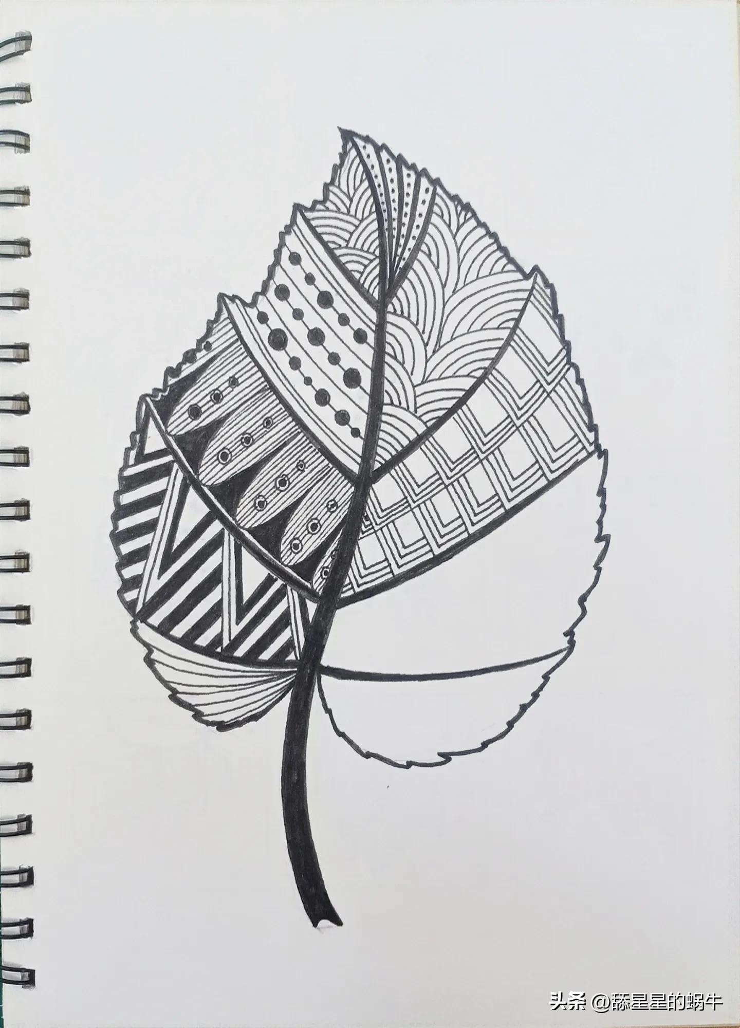 树叶黑白线描画简单花纹,点线面的树叶创意线描