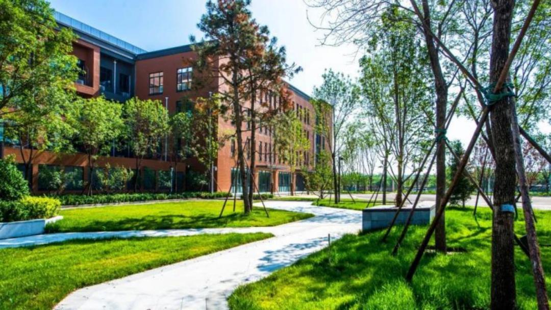 北京中学国际部课程体系,北京中学国际部怎样