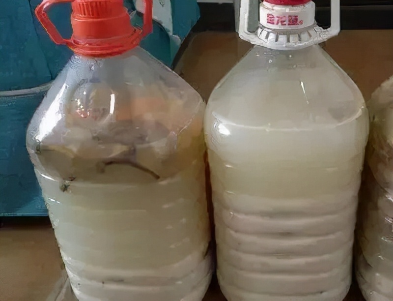 五种养花营养水,4种浇花水