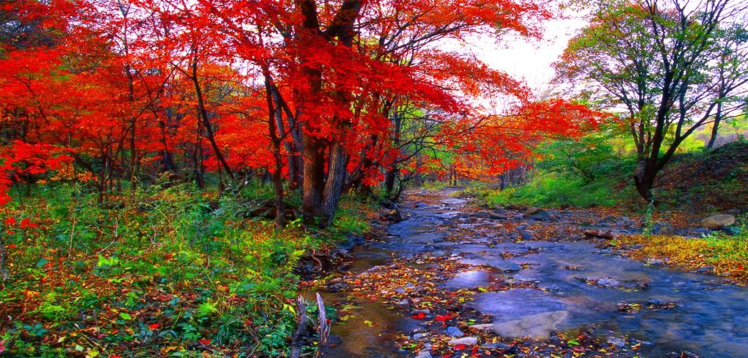 吉林秋景图,吉林秋景美图片