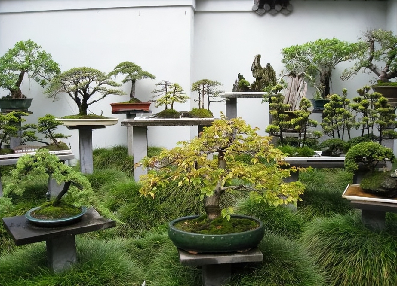 兰永三河口悉地塬野生态农林公园,坐在山头看风景