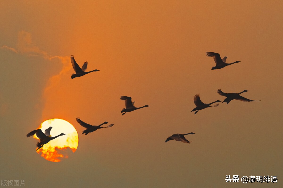 你一定要做一个自信的自己,做个独立又自信的自己