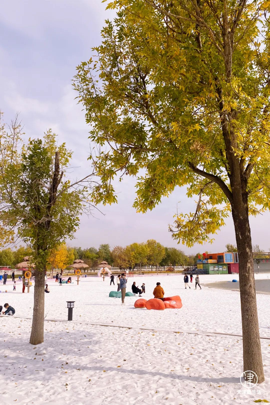 阳性+6例！蓟州这些场所开放！但为嘛我劝你，周末一定去趟武清区