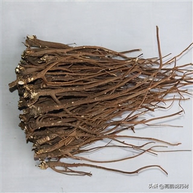 高鹏说药材:太子参、人参、柴胡、蛇床子、蒺藜等近期行情简析