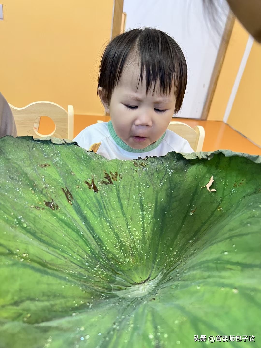 如何判断孩子是否适合早托?会破坏安全感吗?