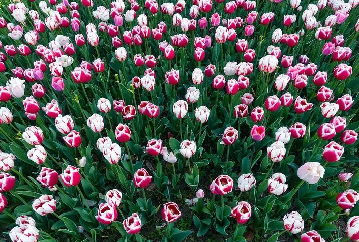 不同类型的人的心态特点,心态好的人都具备这四种品德图