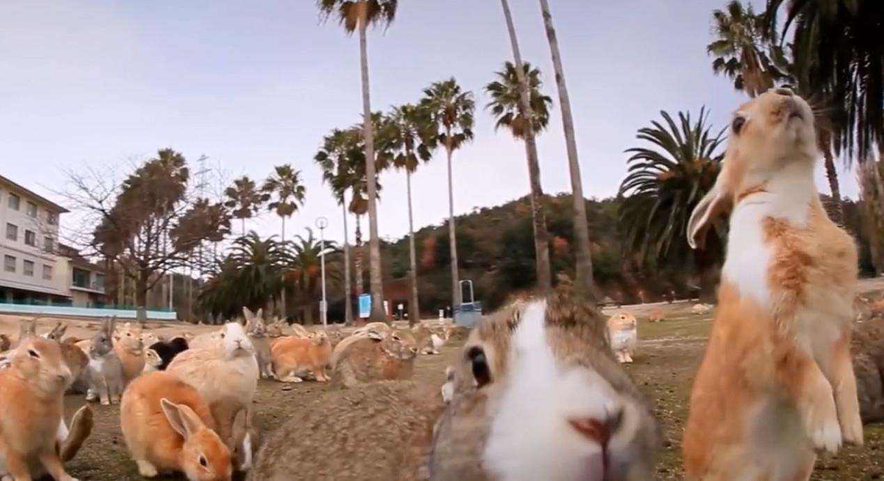 “澳大利亚”现状，带你看看一个真实的澳大利亚