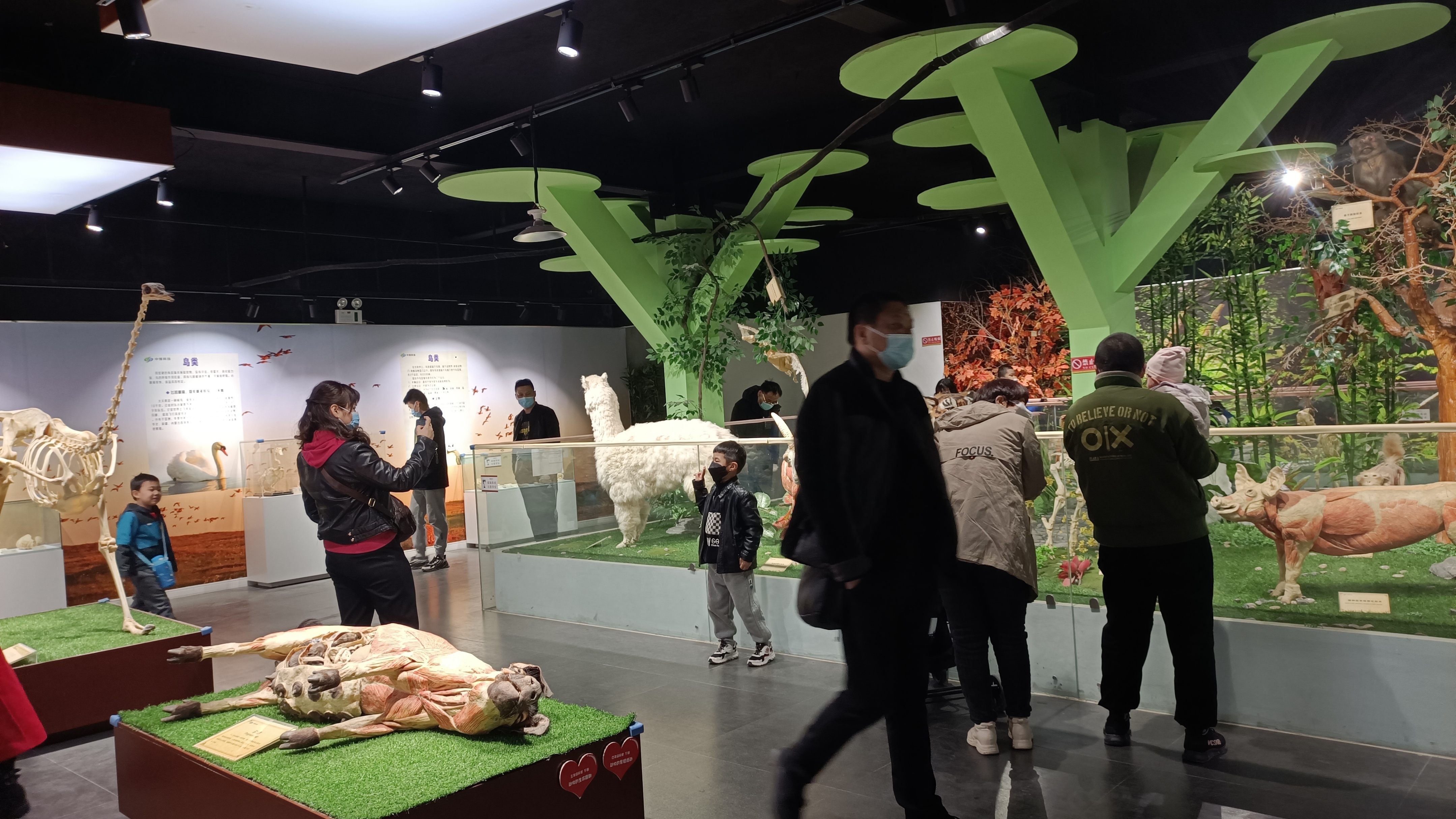 暑假旅游推荐郑州亲子游,端午带孩子去哪玩郑州周边