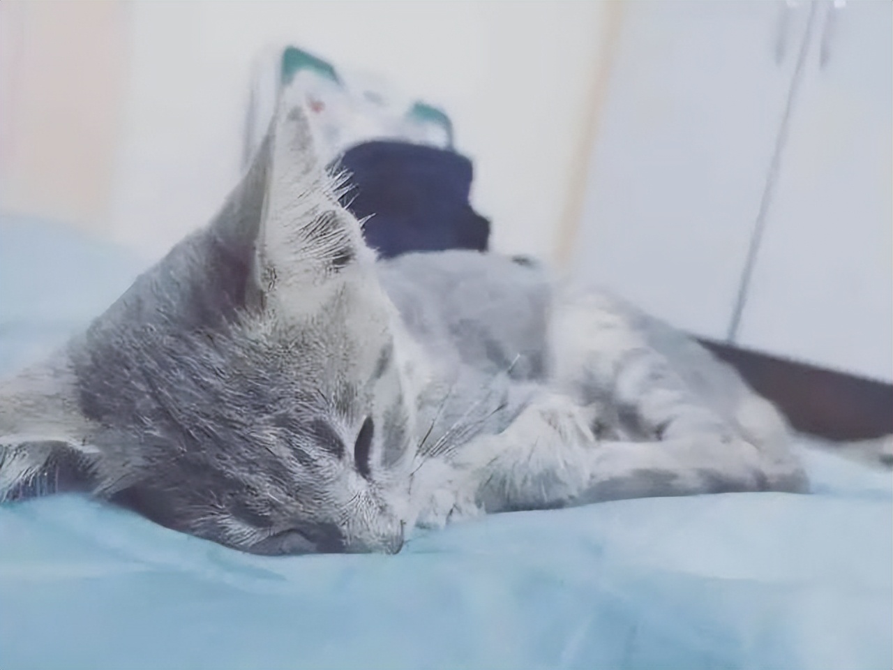 知乎高赞普通人,知乎高赞普通人的一生