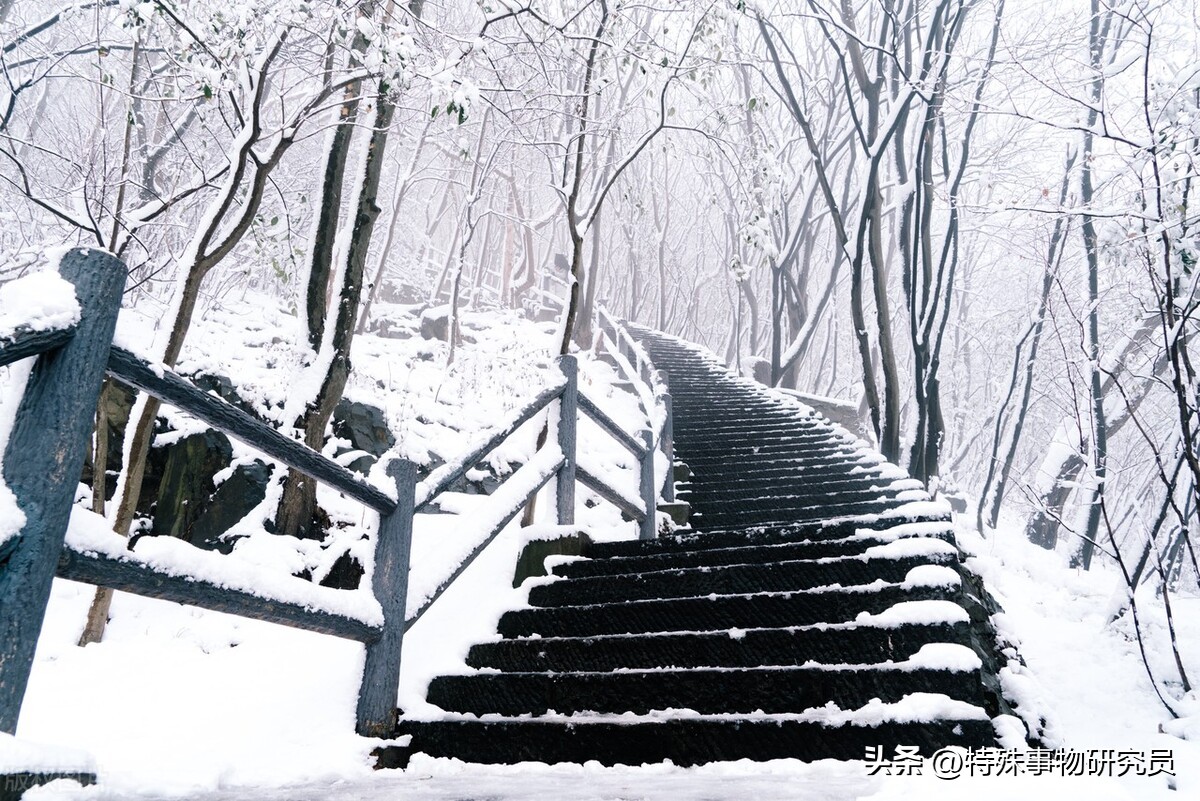 南京奥体四季之美,南京真的很美吗