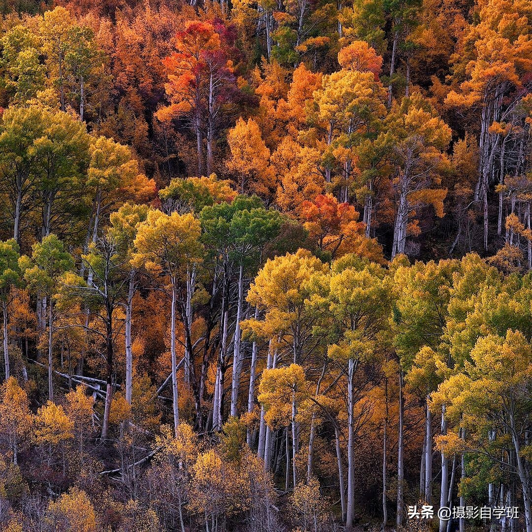 手机拍视频相机参数设置,手机相机拍产品参数设置