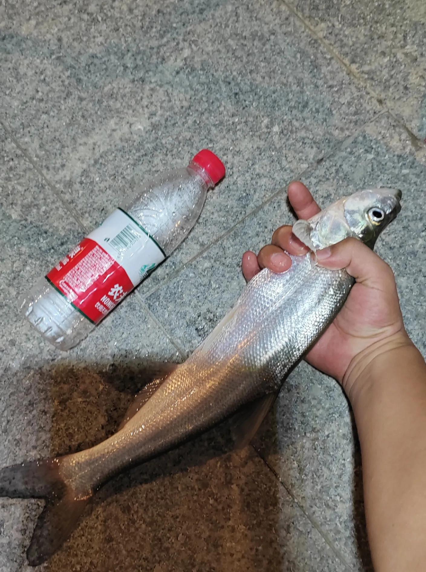 钓鱼小药使用的讲解方法,钓鱼小药分类与使用技巧