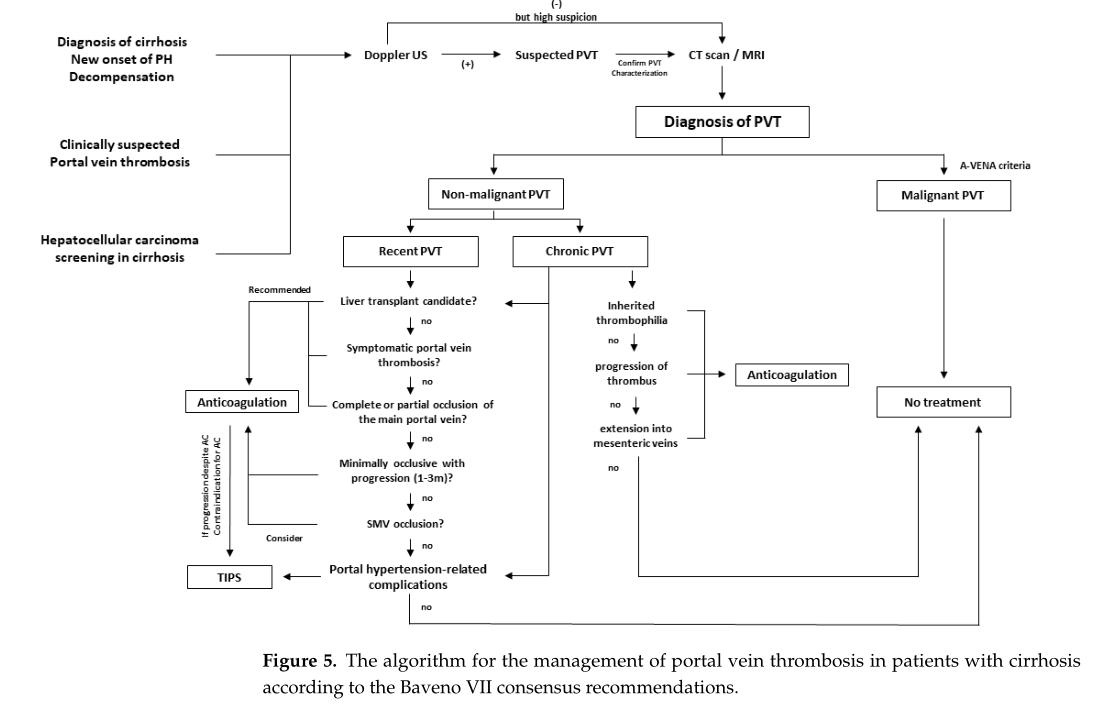 肝硬化伴有门静脉血栓介入治疗,肝硬化门脉血栓相关文章