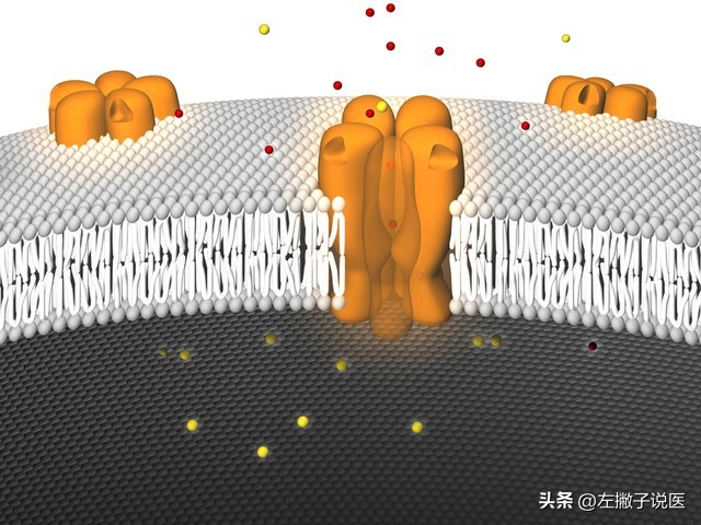 高血压人可以一直吃维生素b2吗,维生素b2对高血压有辅助作用