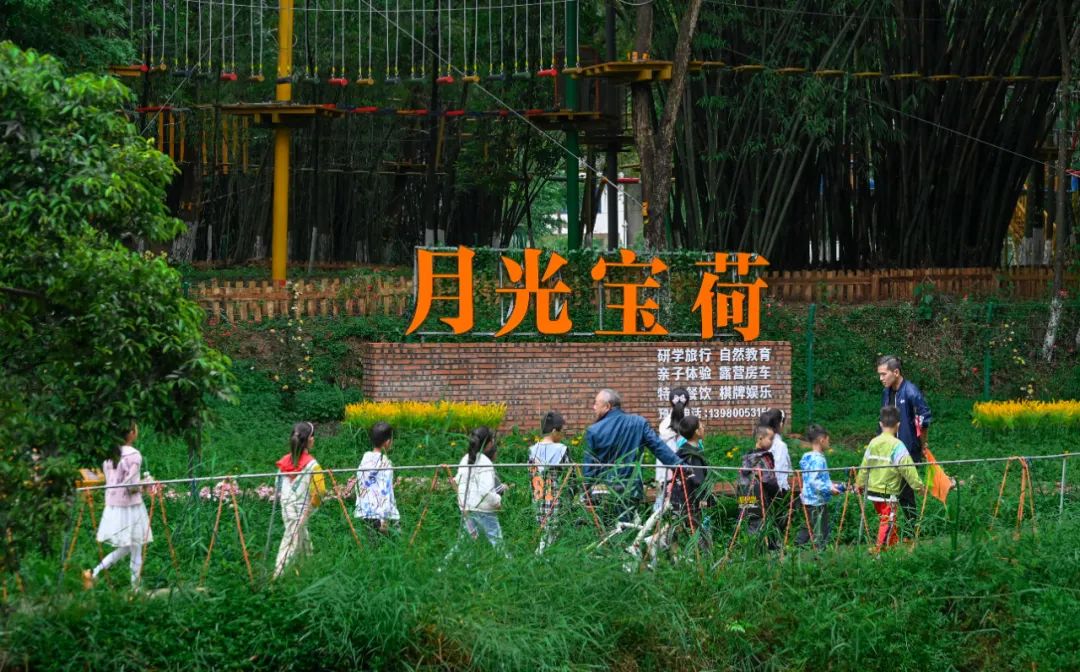 家校共育携手向前,家校社会共育共促成长