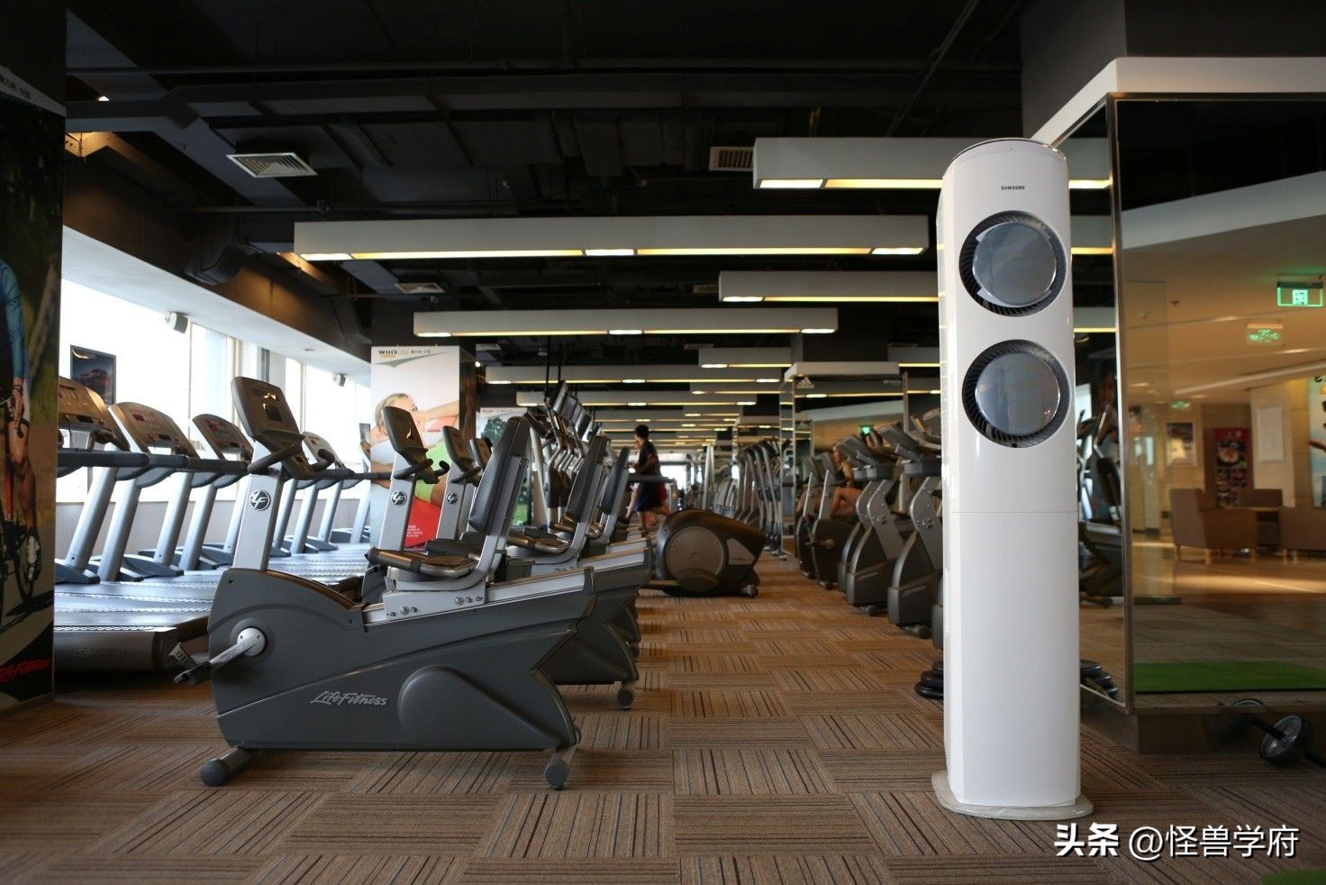 健身房再曝丑闻视频,健身房丑闻的原因