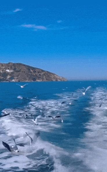 长岛都有哪些风景,人间仙境山东长岛