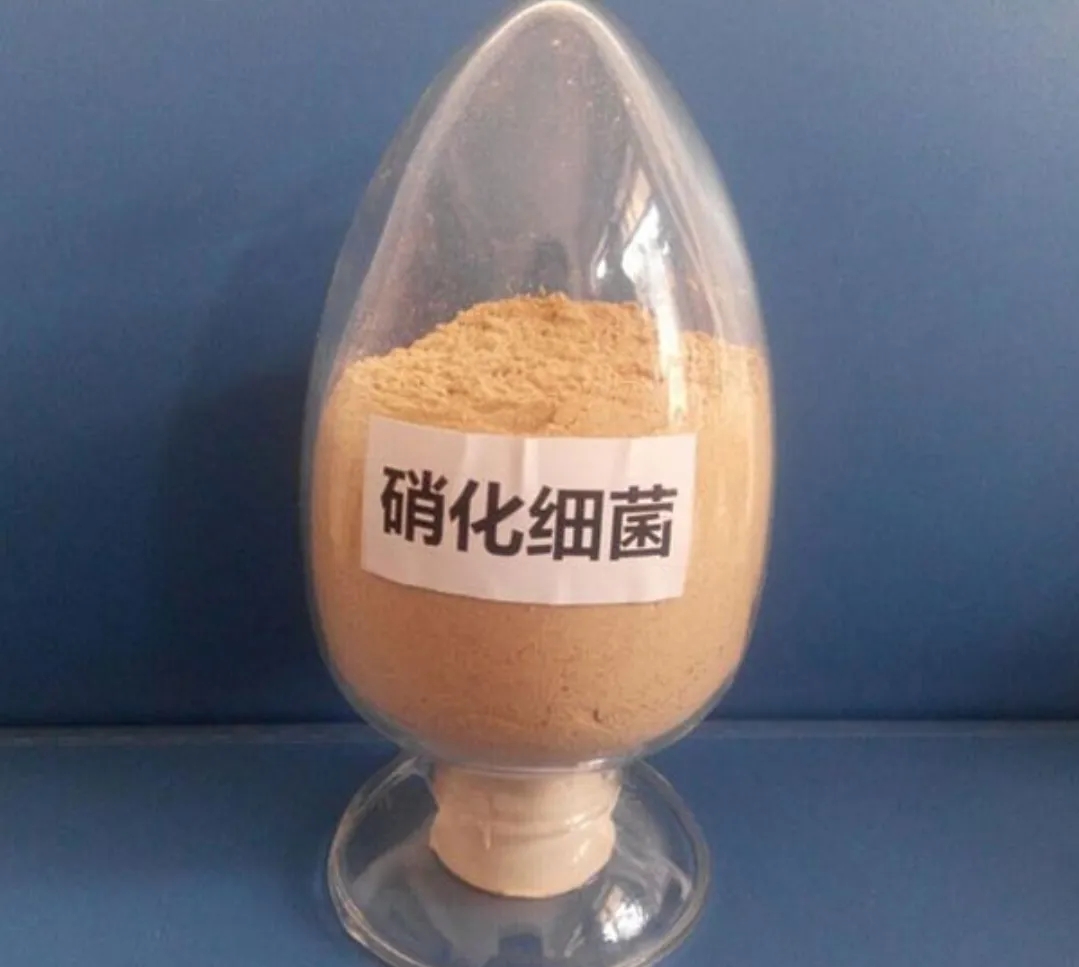 鱼缸的硝化细菌怎样正确使用,鱼缸硝化细菌添加在哪里