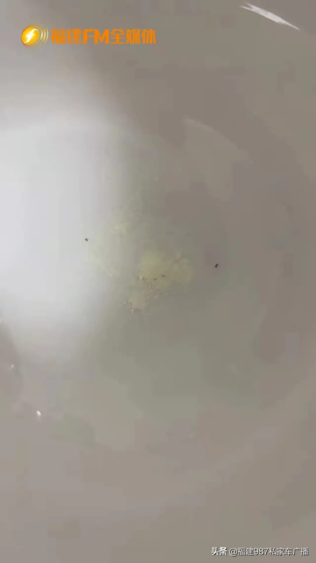 奶粉里面有褐色颗粒是什么,网上购买的奶粉里面有其他杂质